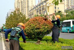 青州市：黨建紅+園林綠+環(huán)衛(wèi)橙，合力打造全域花園城市